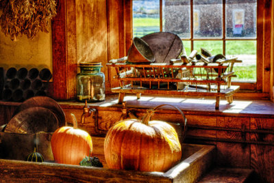 Pumpkins in Window