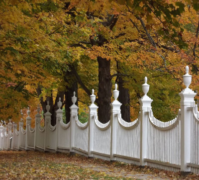 28. Old South Cemetery