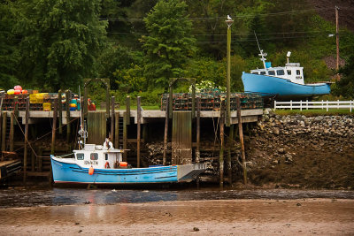 Low Tide, Bay of Fundy