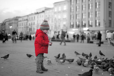 Feeding Pigeons in the City