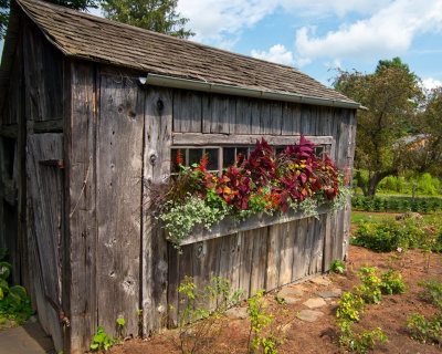 Old Potting Shed