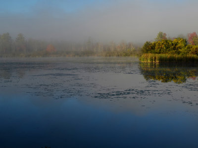 Morning Mist