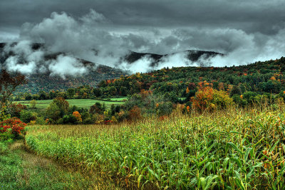 A Vermont Scene