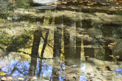 Reflections by Bill Spezeski 1st Regular