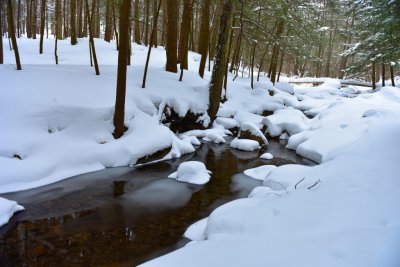 Snow brook
