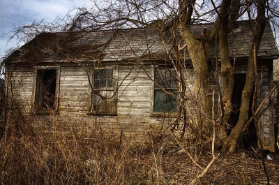 Rambling Old Cabin