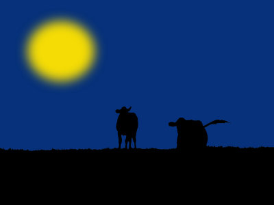 2 cows not jumping over the moon by Mary McGurn 2nd Advanced