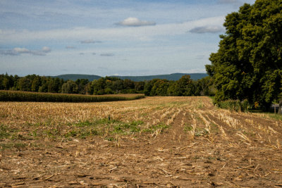 16. Highlawn Harvest