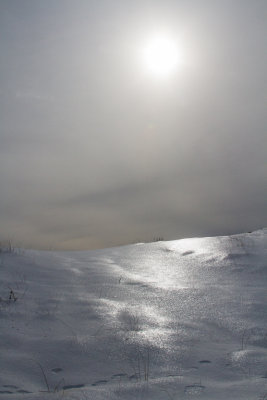 Snow Dune by David Edgecomb 1st Regular