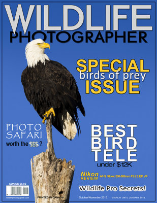 46. Wildlife Photographer Magazine