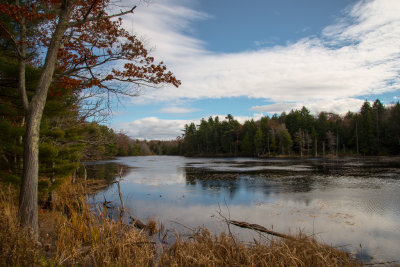 Berkshire Autumnby David Simmons