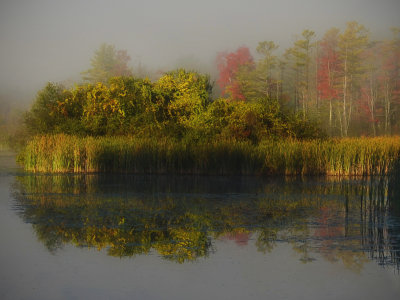 39. Pond Sunrise