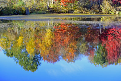 10. Pond Reflections - Regular