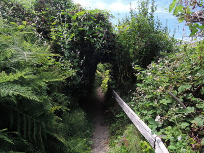 DSCN4388.JPG