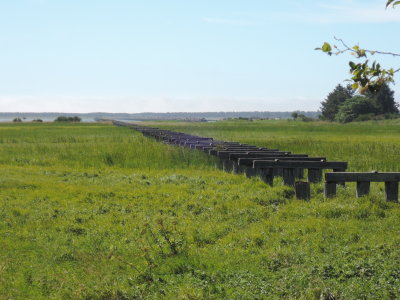 DSCN4430.JPG