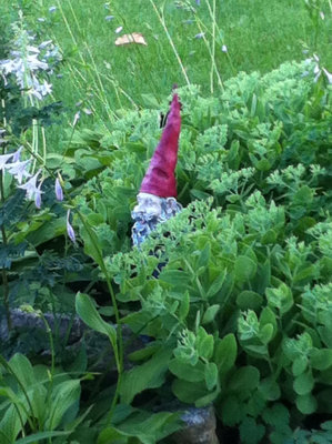 Gnomes