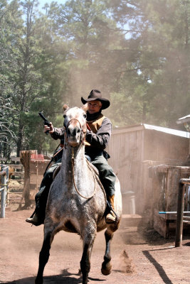 Arizona Cowboy SK.jpg