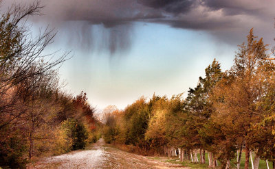 03 Fall Morning Shower MU.jpg