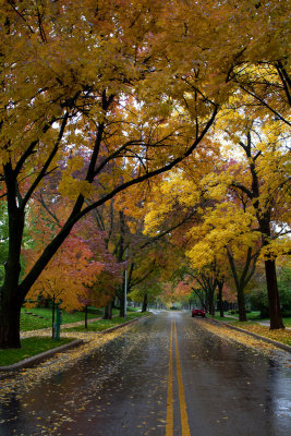04 Near Ward Parkway MU.jpg