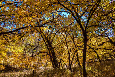 Fall Colors 00d MU.jpg