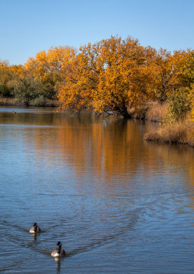 Fall Colors 26 MU.jpg