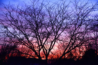 Fall Sunset MU.jpg