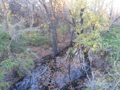 Autumn in Wichita DW.jpg