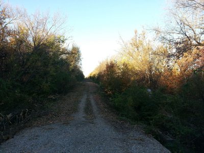 Autumn in Wichita--Trail DW.jpg