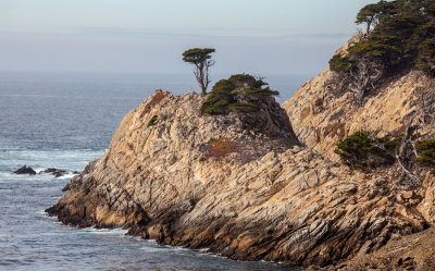 Point Lobos CA MU.jpg