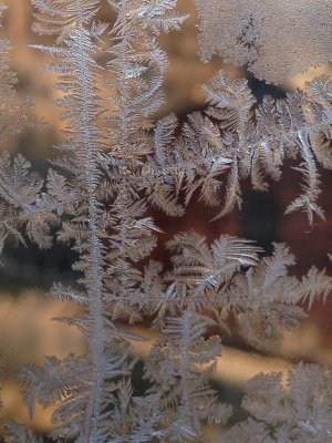 2013 Jack Frost at the Window SB.jpg