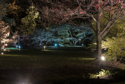 Jardins de lumire