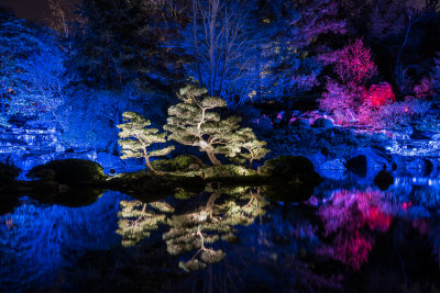 Jardins de lumire