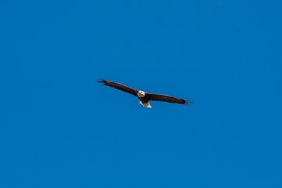 g9/07/1118007/3/163248850.ZV4xfe1a.jpg
