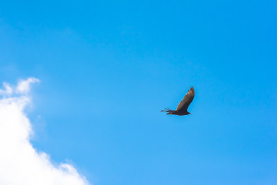g9/07/1118007/3/163248873.z035FprK.jpg