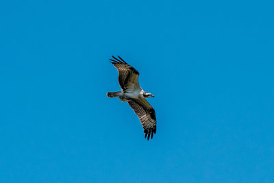 g9/07/1118007/3/164203988.mDGw03nd.jpg