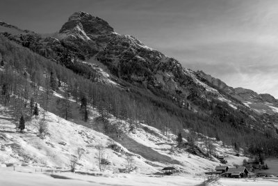 IMG_2065_web.jpg