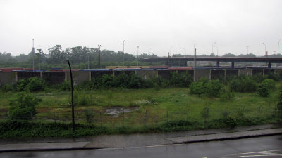 IMG_1584 800.jpg