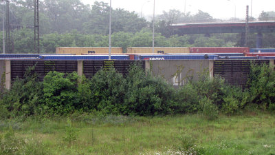 IMG_1585 800.jpg