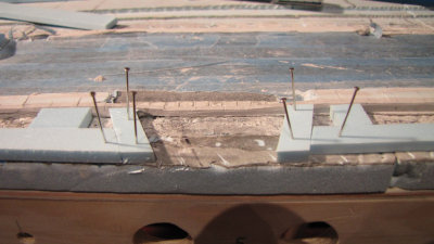 IMG_1622 1024.jpg