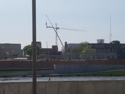 crane.jpg