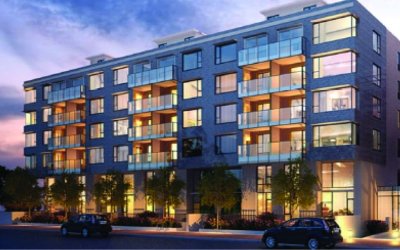 1400walnut.JPG
