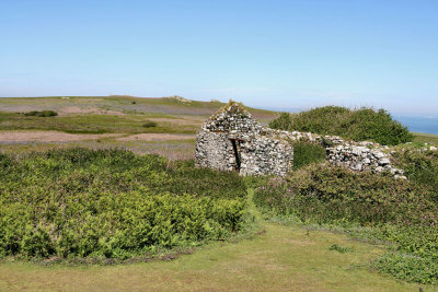 Skomer (26).