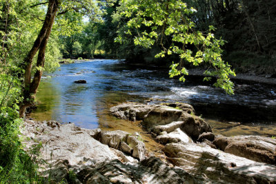 River Teifi, Cenarth, West Wales.