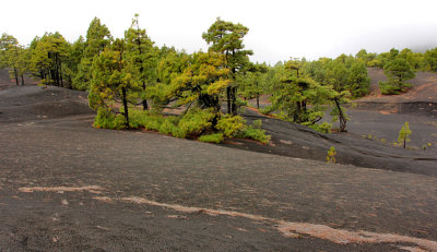 Walking on La Palma, Canary Islands.