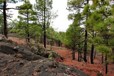 Walking on La Palma, Canary Islands.