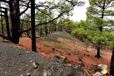 Walking on La Palma, Canary Islands.