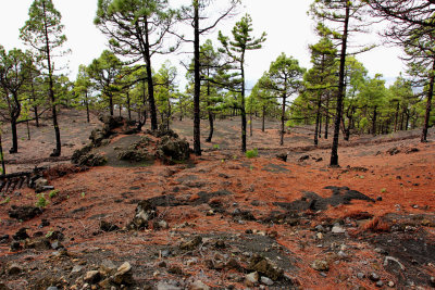 Walking on La Palma, Canary Islands.