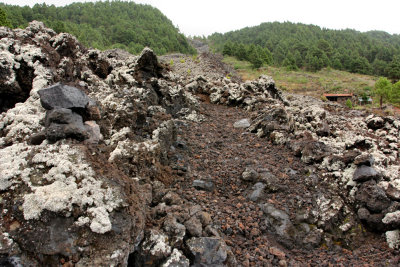 Old lava flow (1949).