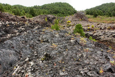 Old lava flow (1949).