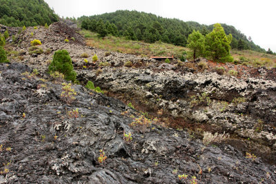 Old lava flow (1949).